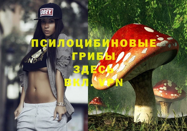 МДМА Горнозаводск