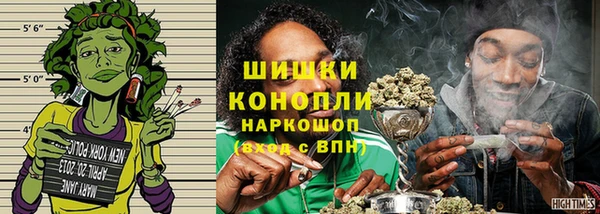 мдпв Горно-Алтайск