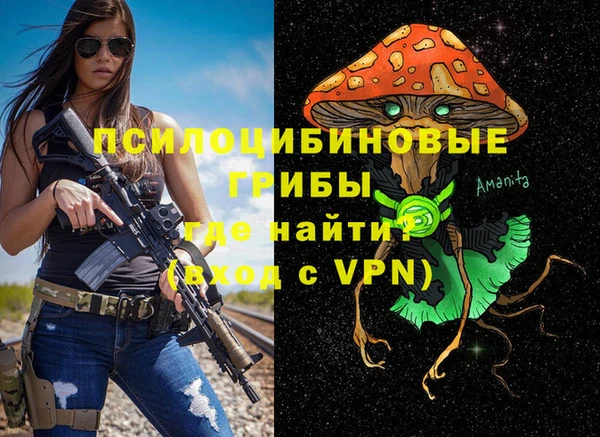 мдпв Горно-Алтайск