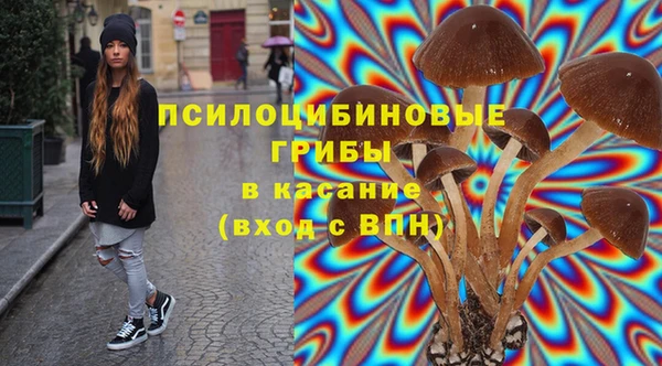 шишки Вязники